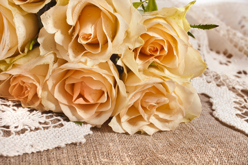 Grow the Lawn of Your Dreams with These Beginner-Friendly Secrets