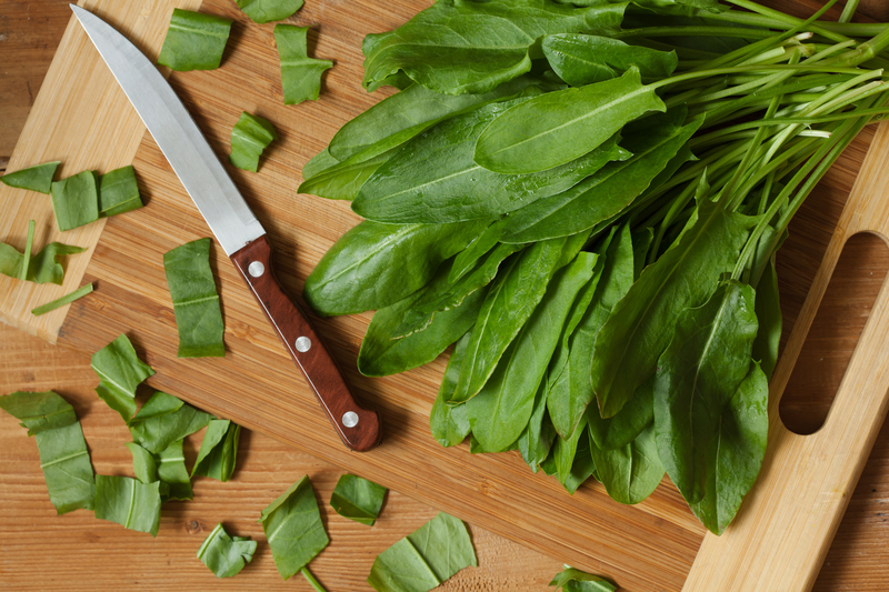 Master the Art of the Moveable Garden with These 3 Tricks